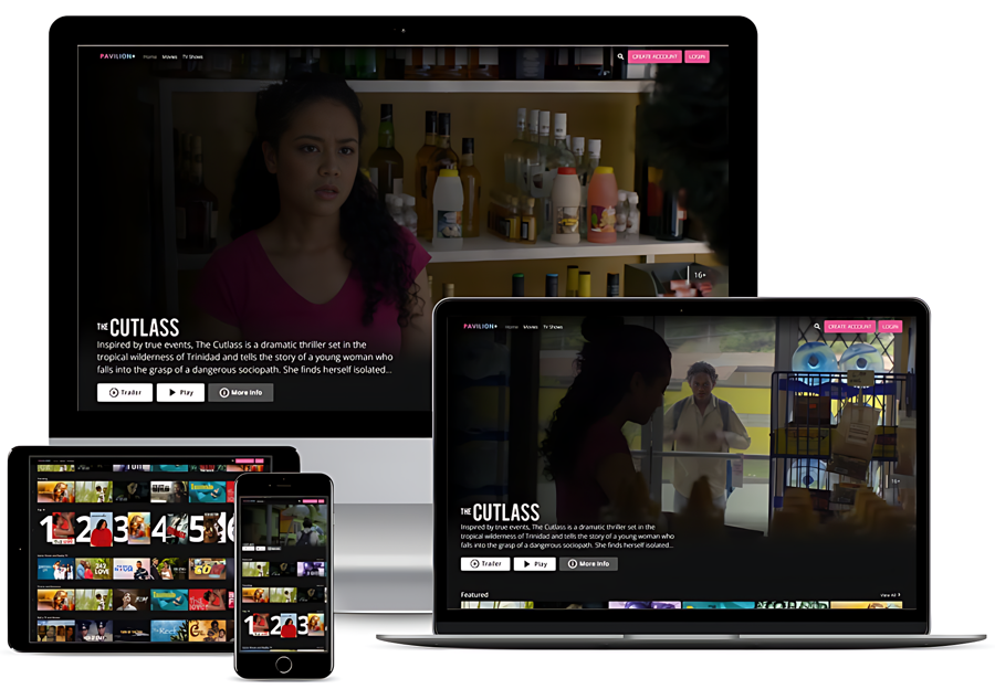 Pavilion Plus Case Study